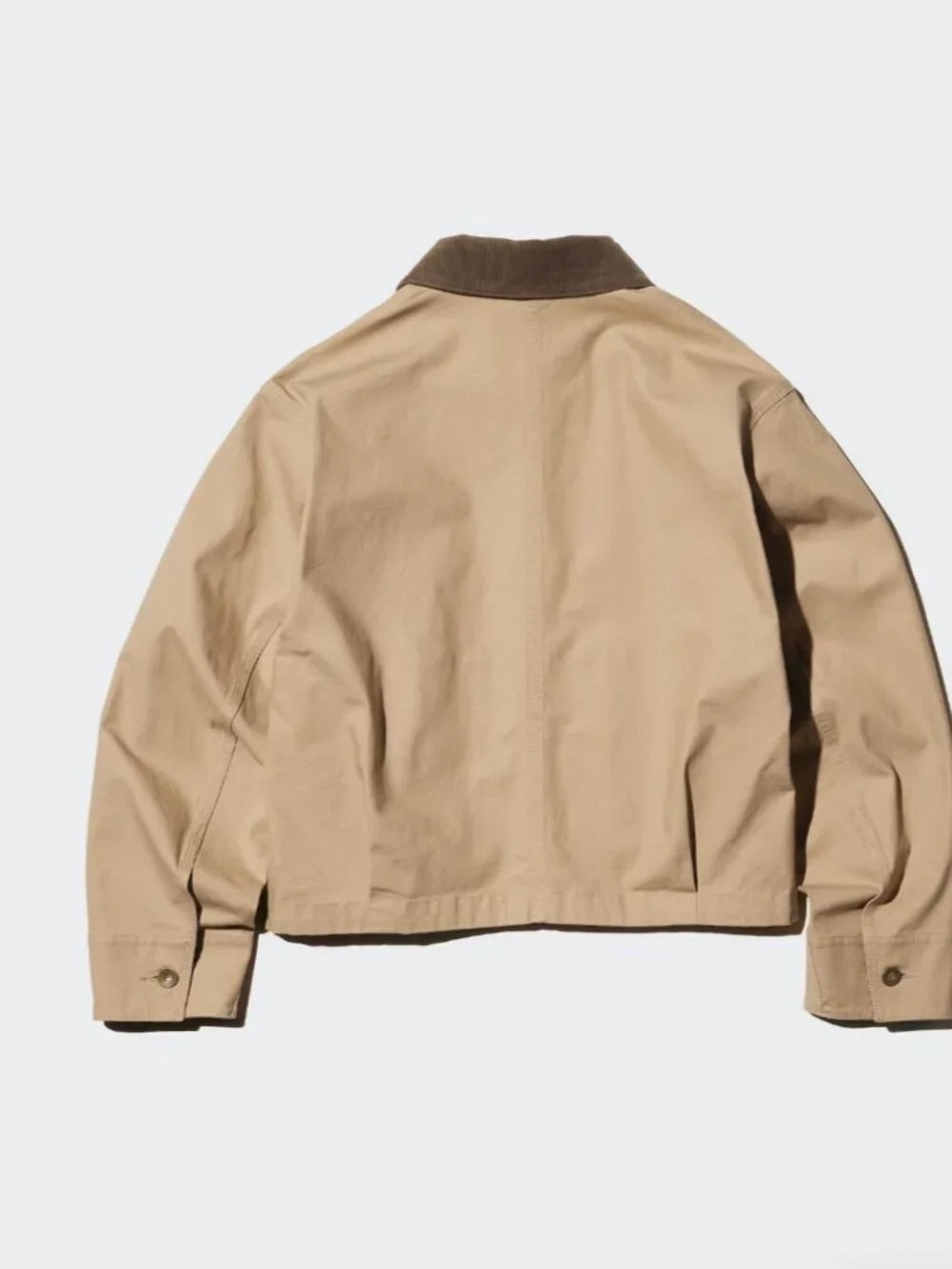 Zip-Up Short Jacket - Picture 5 of 9